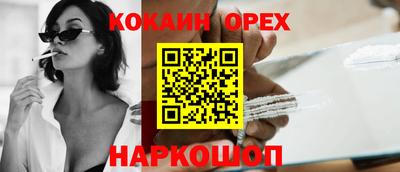 индика Кандалакша